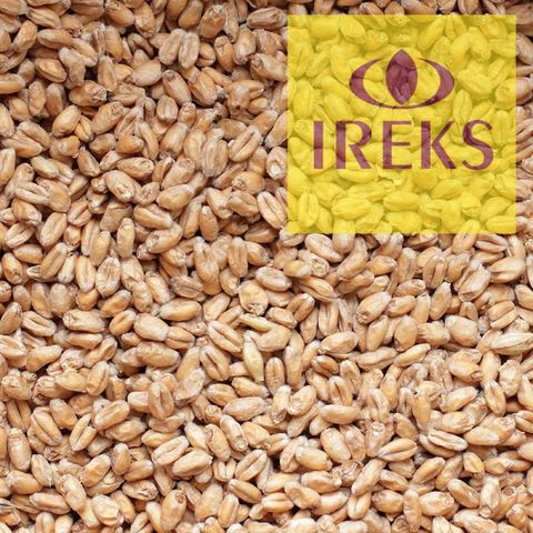 2. Солод Пшеничный светлый / Wheat Light (Ireks), 25 кг